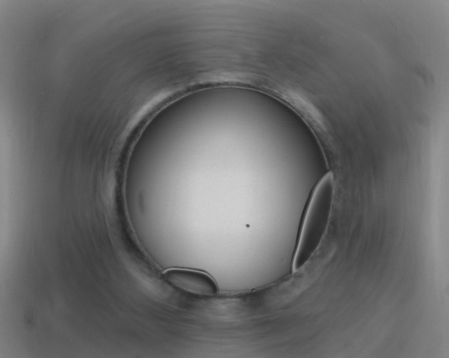 X0000114610108200910200949