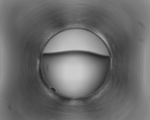 X0000114610109200910200949