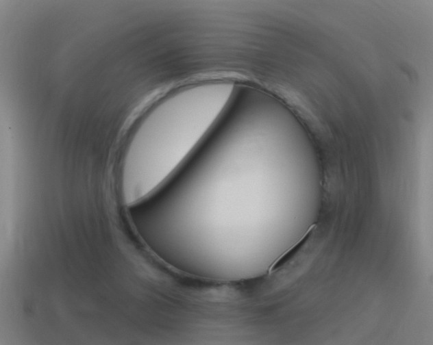 X0000114610112200910200949