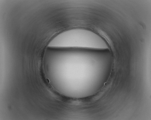 X0000114610113200910200949