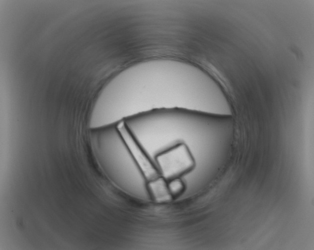 X0000114610117200910200949