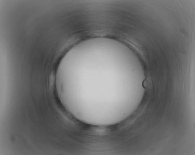 X0000114610118200910200949