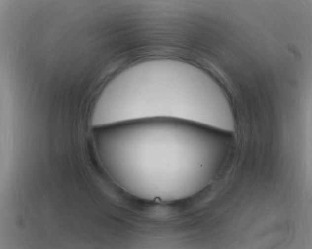 X0000114610119200910200949