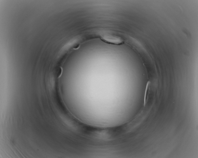 X0000114610120200910200949