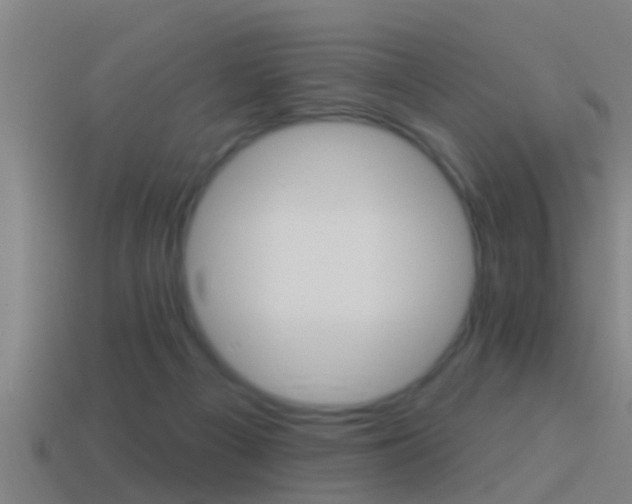 X0000114610121200910200949