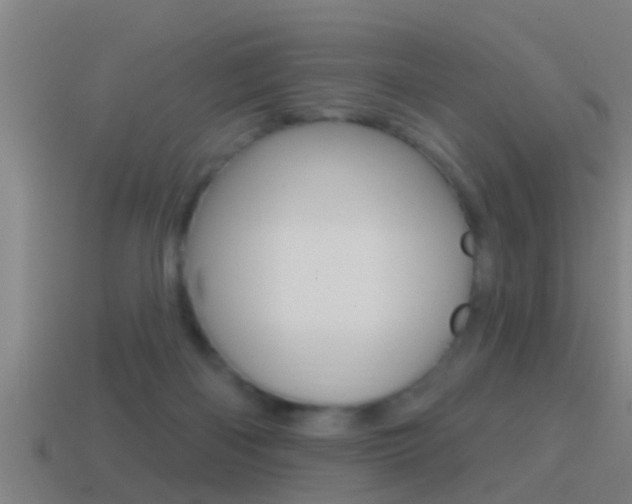 X0000114610122200910200949
