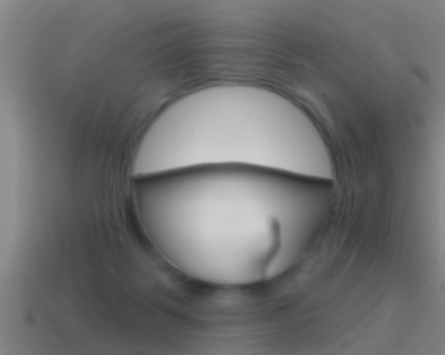 X0000114610123200910200949