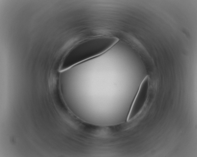 X0000114610124200910200949