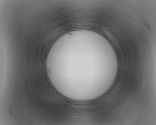 X0000114610125200910200949