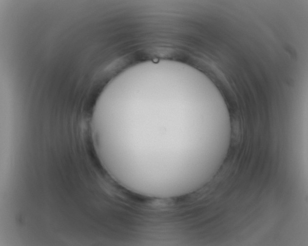 X0000114610126200910200949