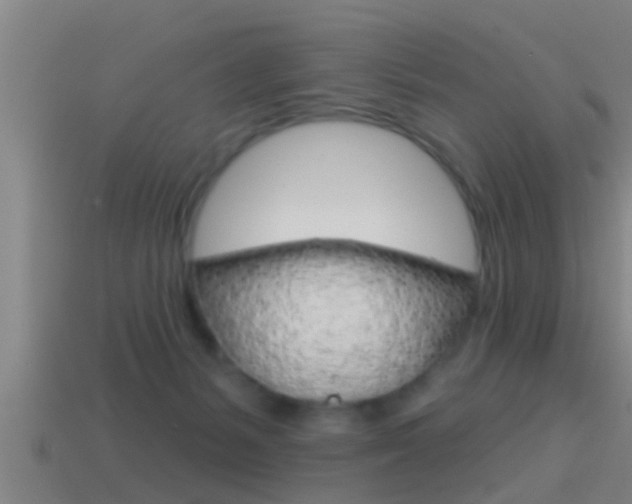 X0000114610127200910200949