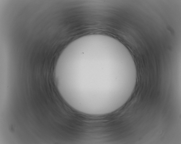 X0000114610129200910200949