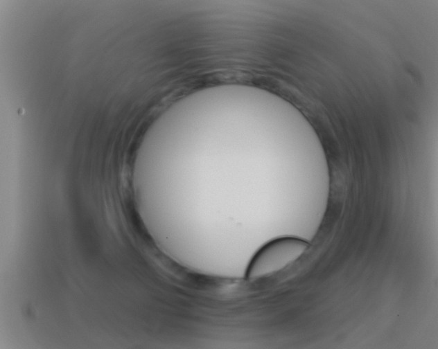 X0000114610130200910200949