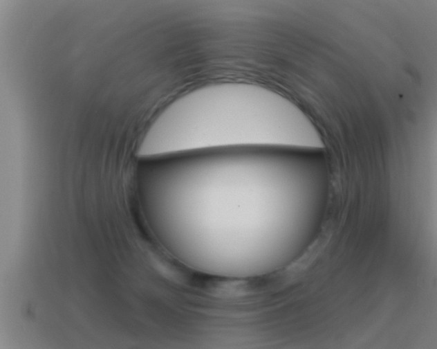 X0000114610132200910200949