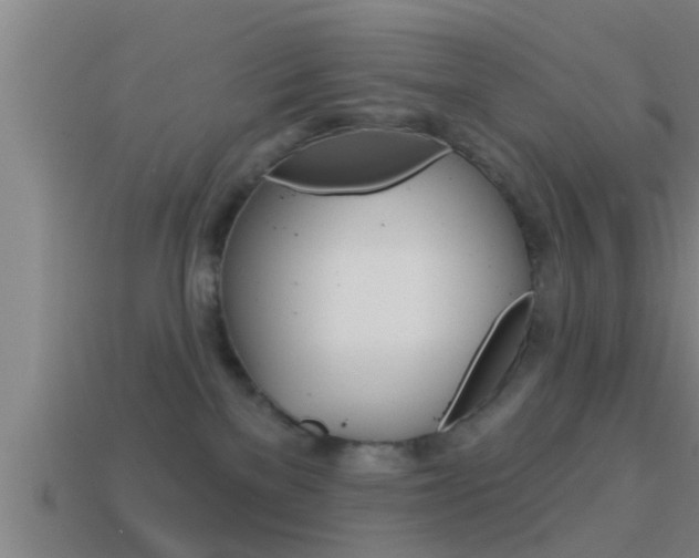 X0000114610137200910200948