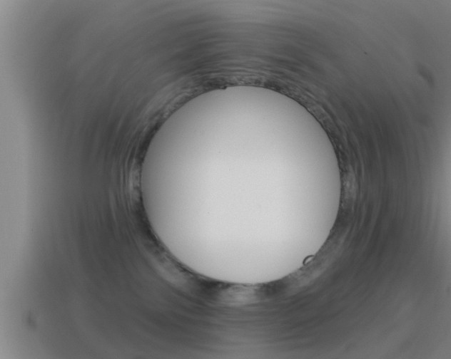 X0000114610138200910200948