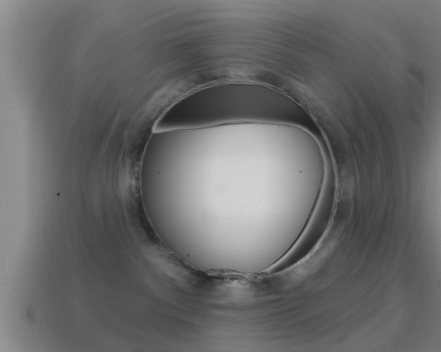 X0000114610140200910200948