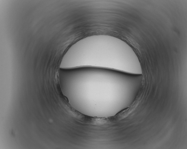 X0000114610141200910200948