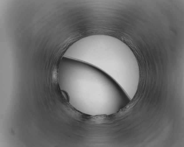 X0000114610143200910200948
