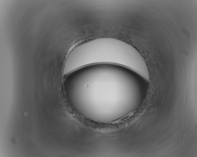 X0000114610144200910200948
