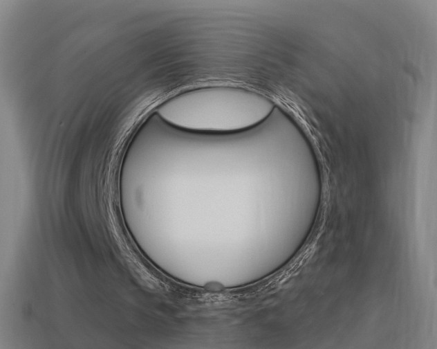 X0000114610145200910200948