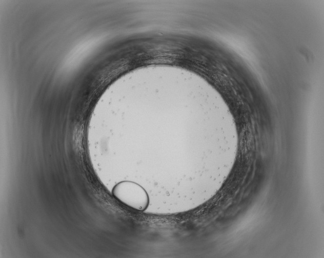 X0000114610146200910200948