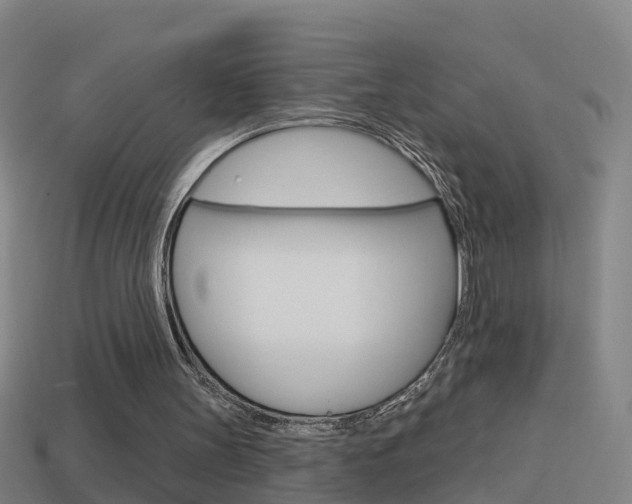 X0000114610147200910200948