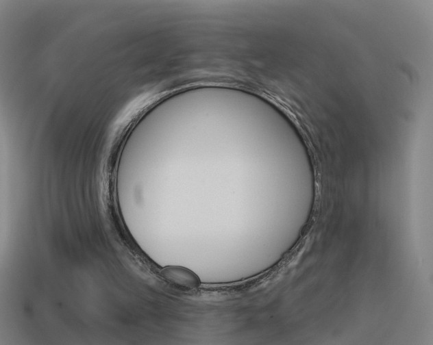 X0000114610149200910200948
