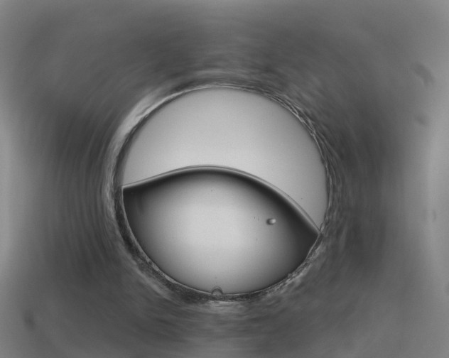 X0000114610150200910200948