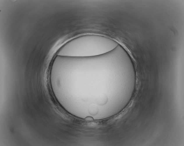 X0000114610151200910200948