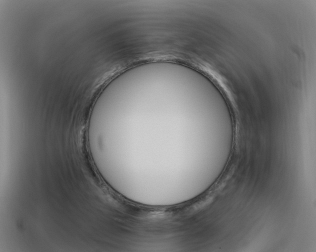 X0000114610153200910200948