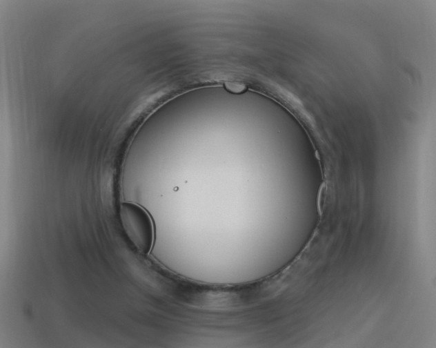 X0000114610154200910200948