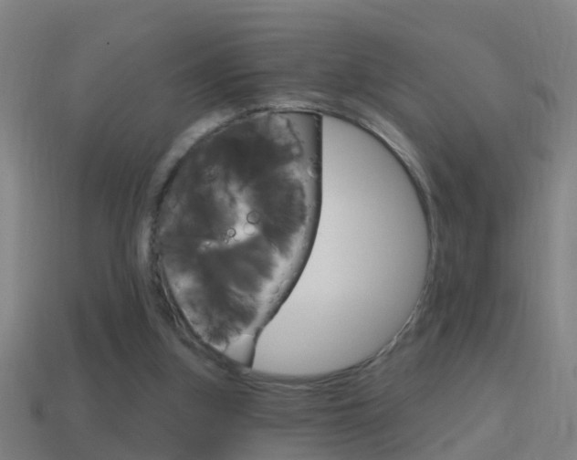 X0000114610155200910200948