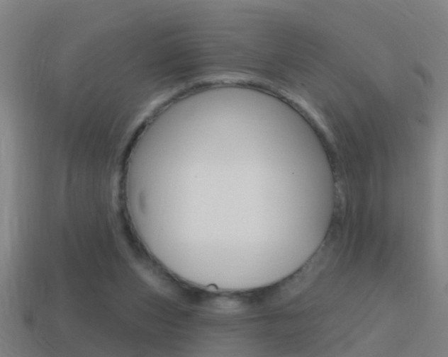 X0000114610159200910200948