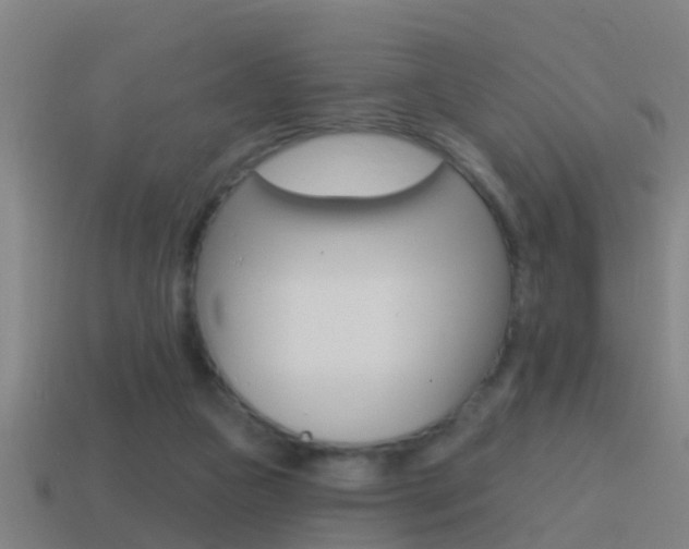 X0000114610161200910200948