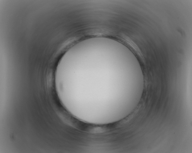 X0000114610163200910200948