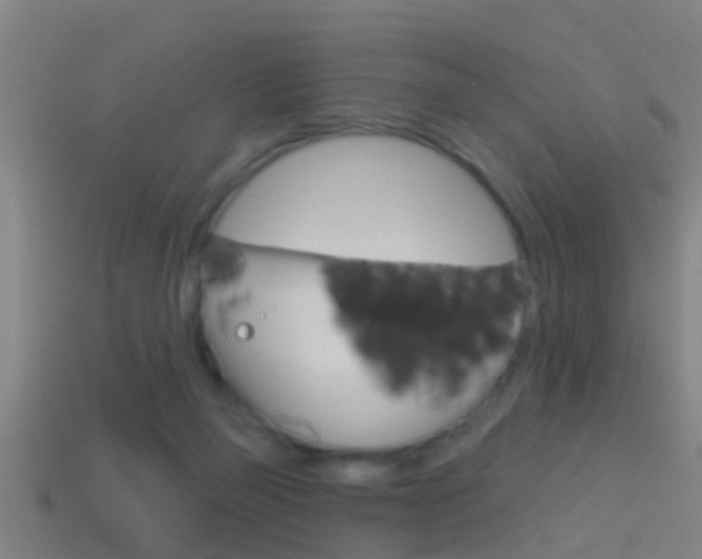 X0000114610165200910200948