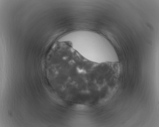X0000114610167200910200948