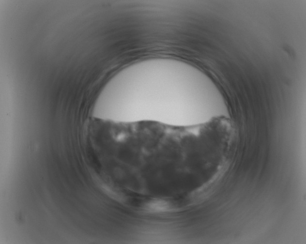 X0000114610171200910200948