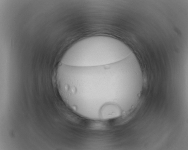 X0000114610175200910200948