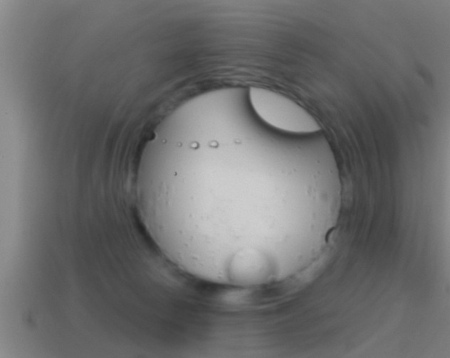 X0000114610178200910200948