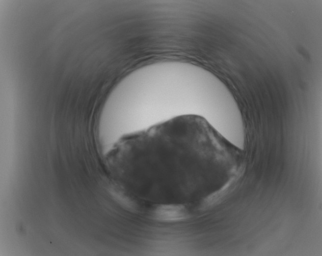 X0000114610179200910200948