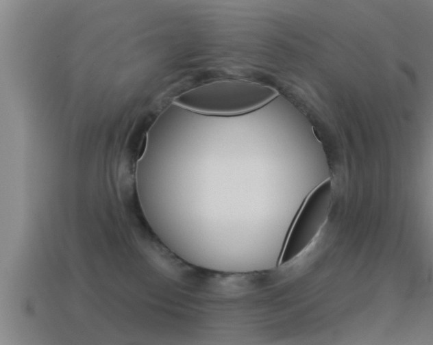 X0000114610186200910200948