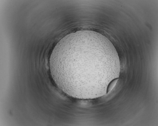 X0000114610187200910200948