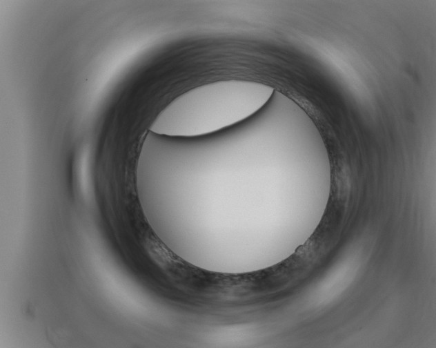 X0000114610189200910200948