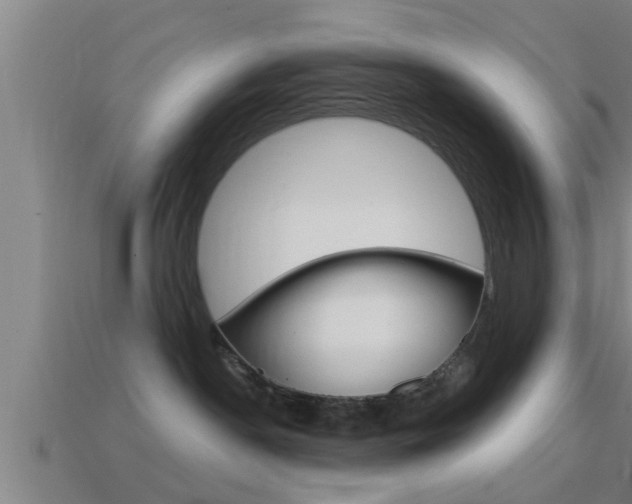 X0000114610190200910200948