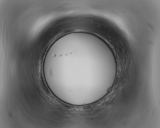 X0000114610194200910200948
