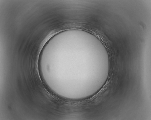 X0000114610195200910200948