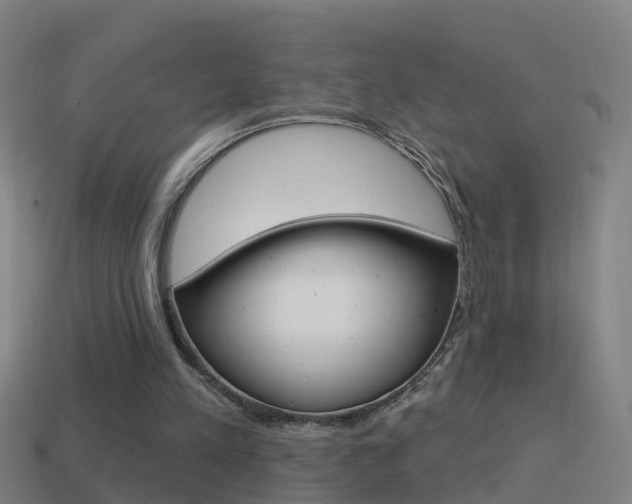 X0000114610197200910200948