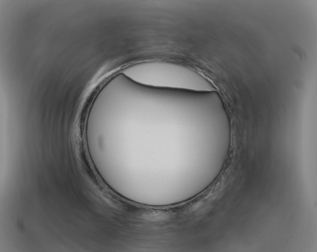 X0000114610198200910200947